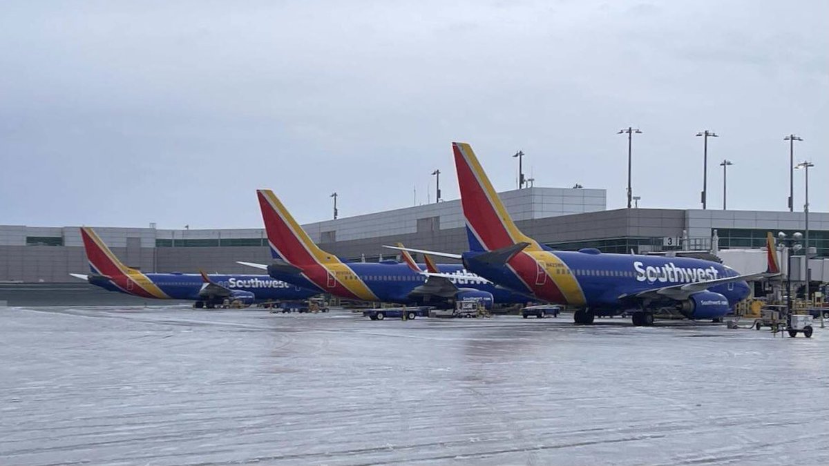 Boneyardsafari's tweet image. It’s a cold day in Dallas! #737 #lovefield #kdal #swa #aviationsafari #boneyardsafari