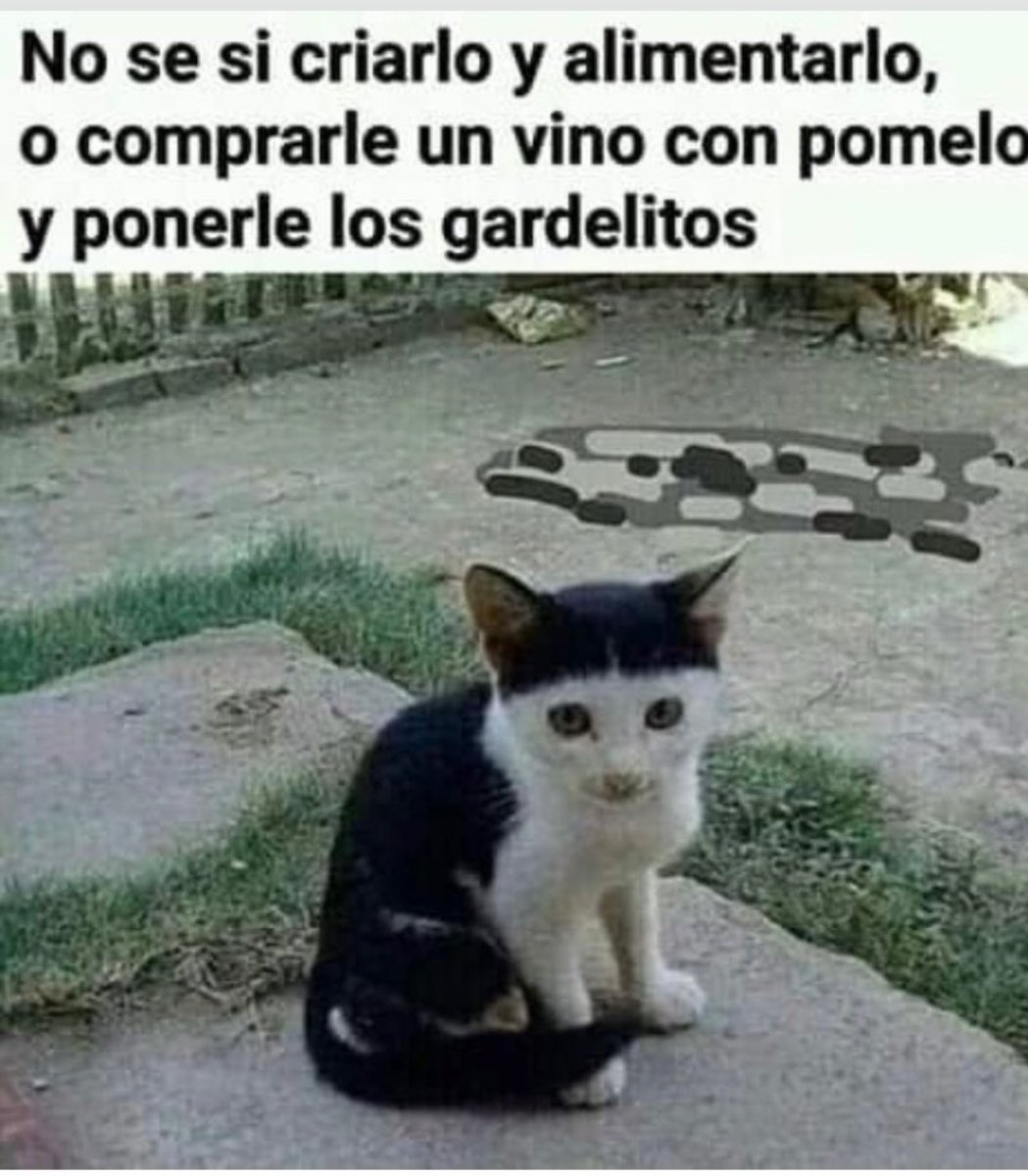 soyjulyo's tweet photo. Buen miércoles para todos ❤️☘️ https://t.co/VkxCxn9Mdc
