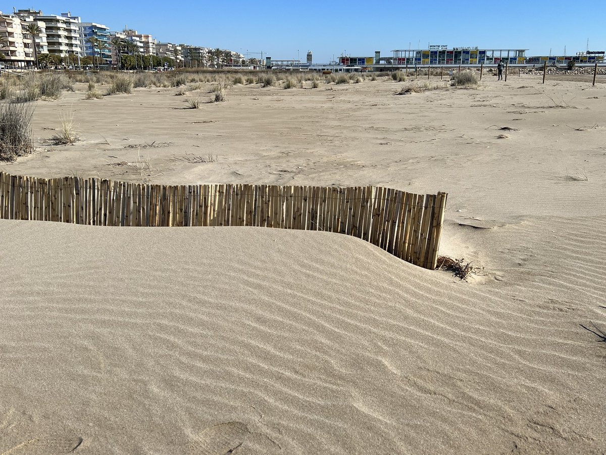 xiscoroig's tweet photo. Tasques de retenció sedimentaria hivernal @AjCalafell cc/ @AronCalafell https://t.co/8uuAZxvJcv