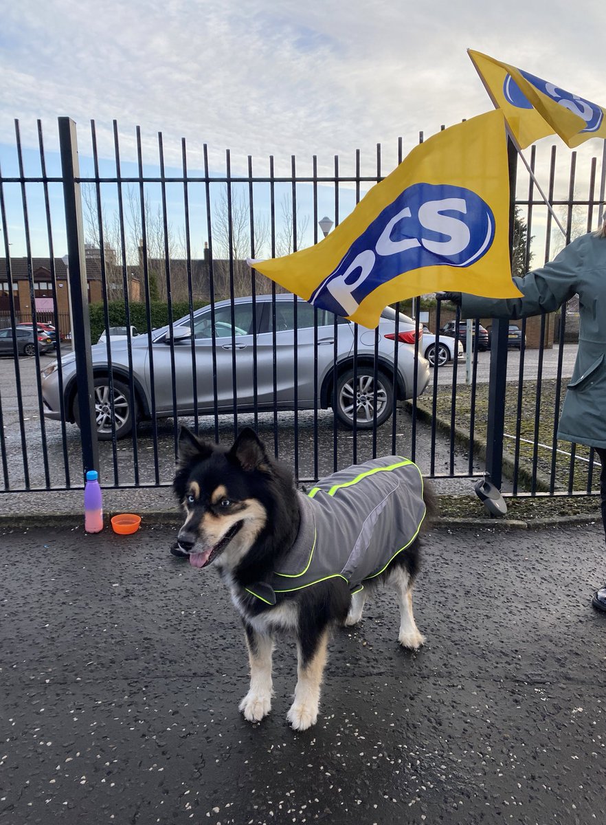 Mcfearless__'s tweet photo. @PCS_Scotland Hamilton today https://t.co/4EPD3toKQ4