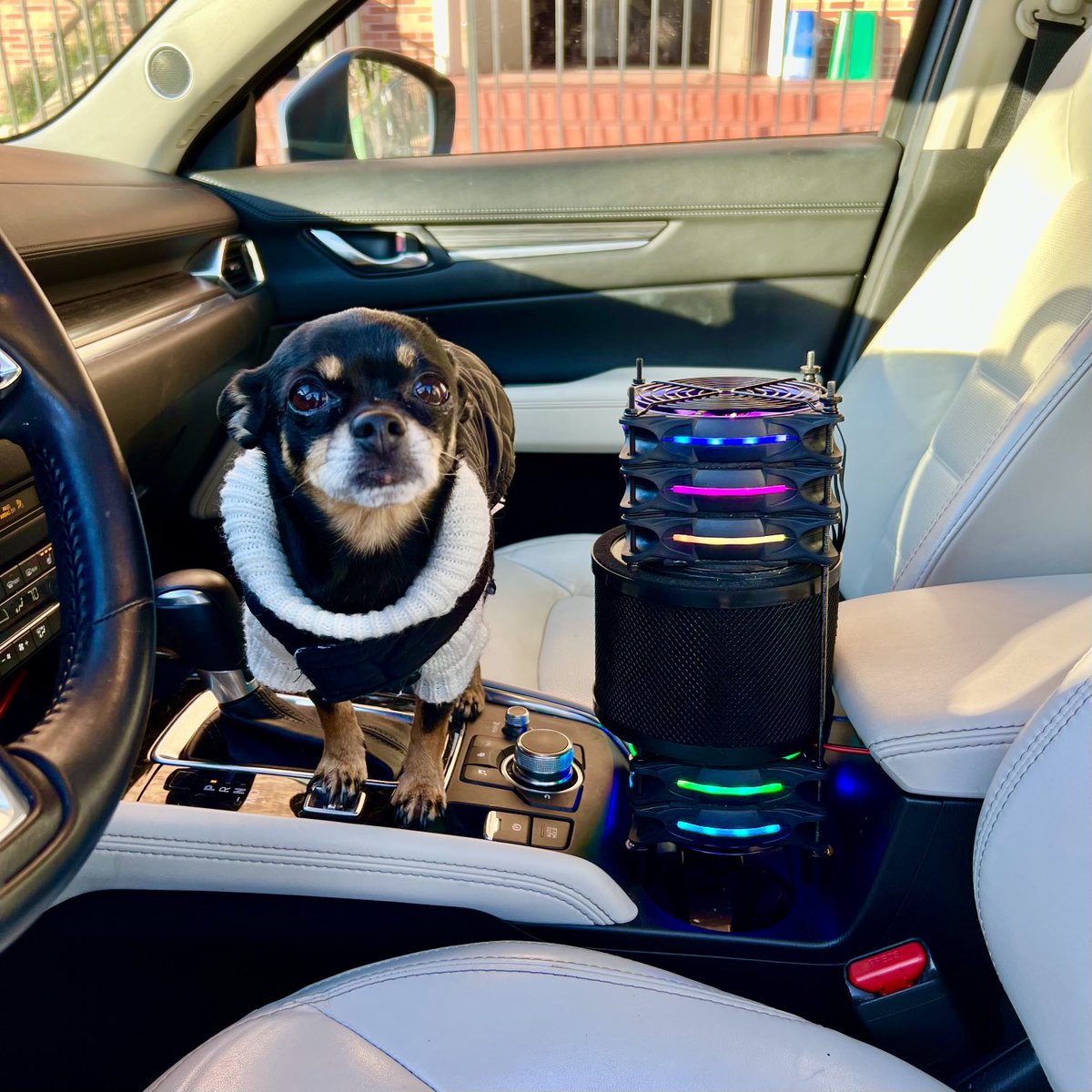 TheFandelier's tweet image. Look who’s riding shotgun! Fandelier Warp Core running off USB, and my boy Finch. Thanks for the inspiration ⁦@JimRosenthal4⁩ I wasn’t sure this would work but it sure does #crbox #fandelier #warpcore