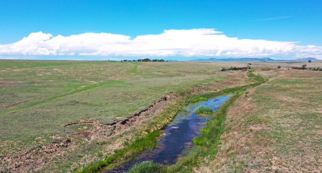 M4RanchGroup's tweet photo. 𝙐𝙩𝙚 𝘾𝙧𝙚𝙚𝙠 𝙍𝙖𝙣𝙘𝙝
Gladstone, New Mexico | 360± Acres

𝐒𝐞𝐞 𝐦𝐨𝐫𝐞 𝐨𝐟 𝐭𝐡𝐢𝐬 𝐫𝐚𝐧𝐜𝐡: 
https://t.co/u4CJCGwoKP

#M4RanchGroup #DedicatedRanchBrokers #AnytimeAnywhereAnySeason #WorkingHardForYourSuccess https://t.co/KSzWX7zkEN