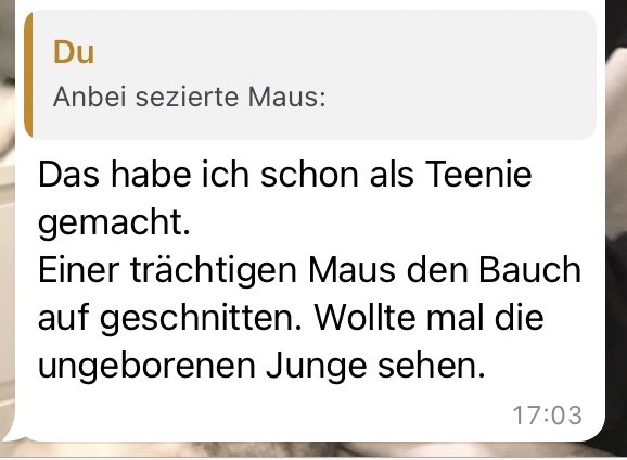 Meine Stiefgroßmutter hats geschafft, ich werde nie wieder mit ihr übers Fleischessen diskutieren because wtf is this