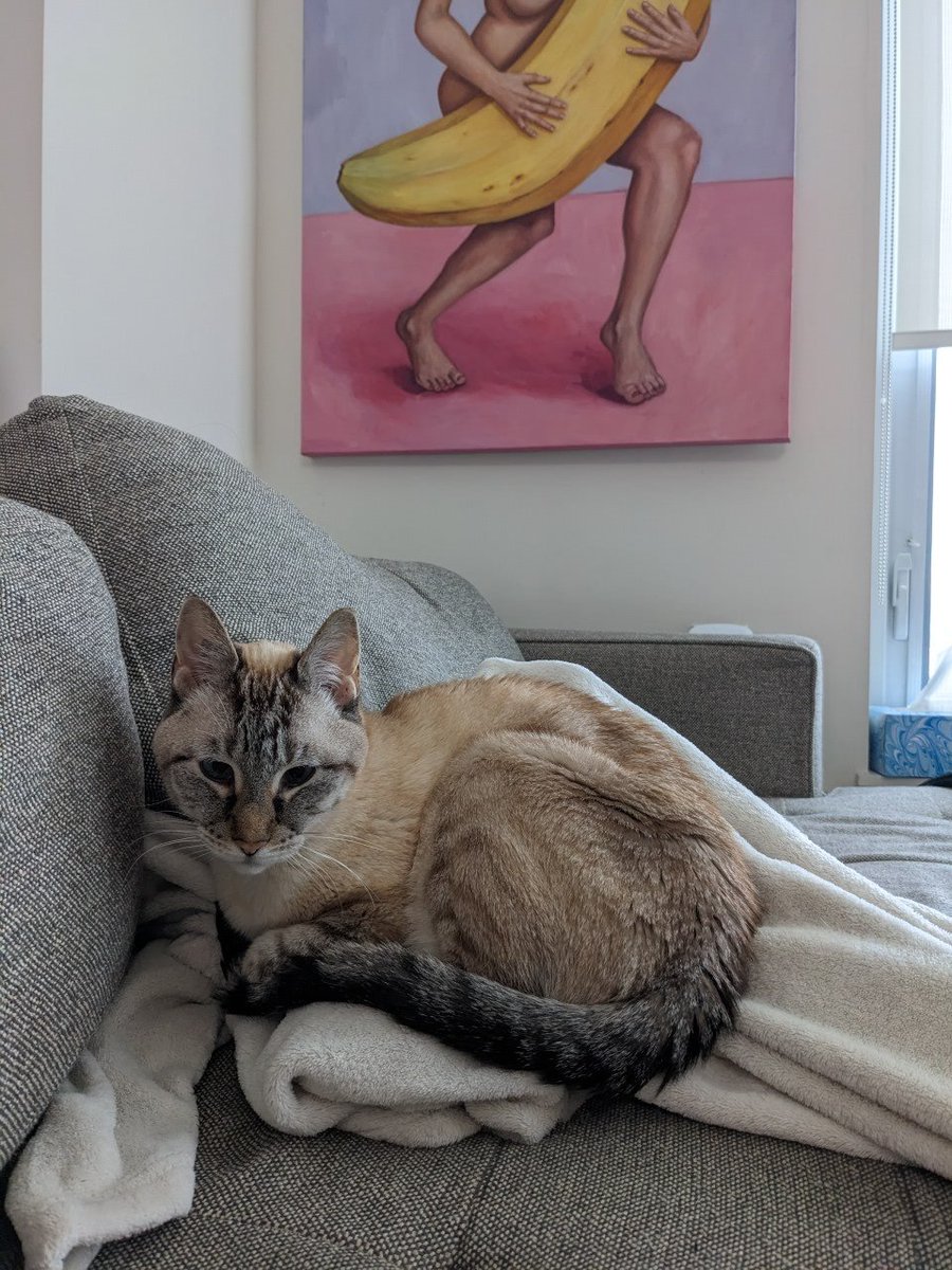 Vian Esterhuizen tweet media