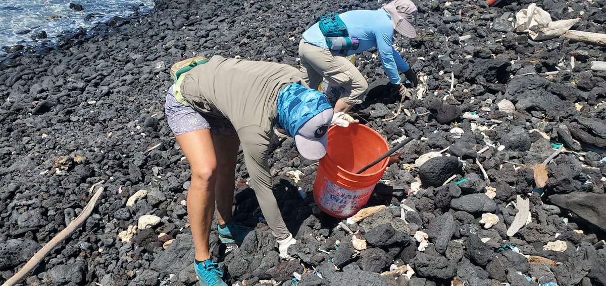 NOAA Marine Debris Program tweet media