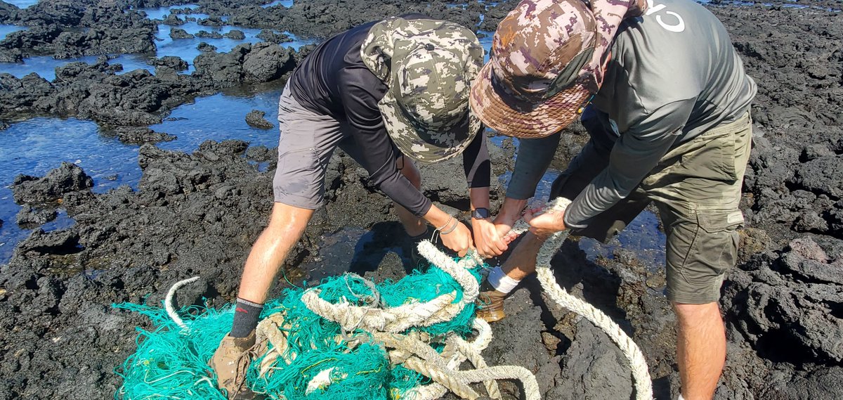 NOAA Marine Debris Program tweet media