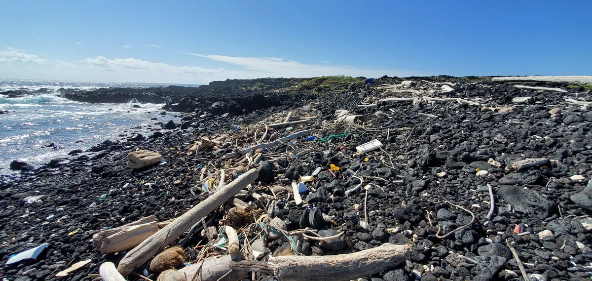 NOAA Marine Debris Program tweet media
