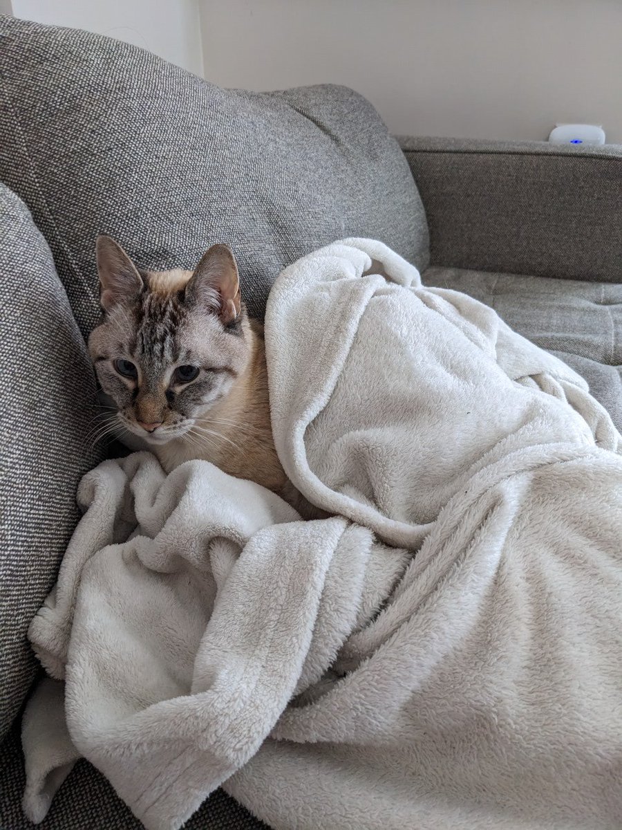 Vian Esterhuizen tweet media