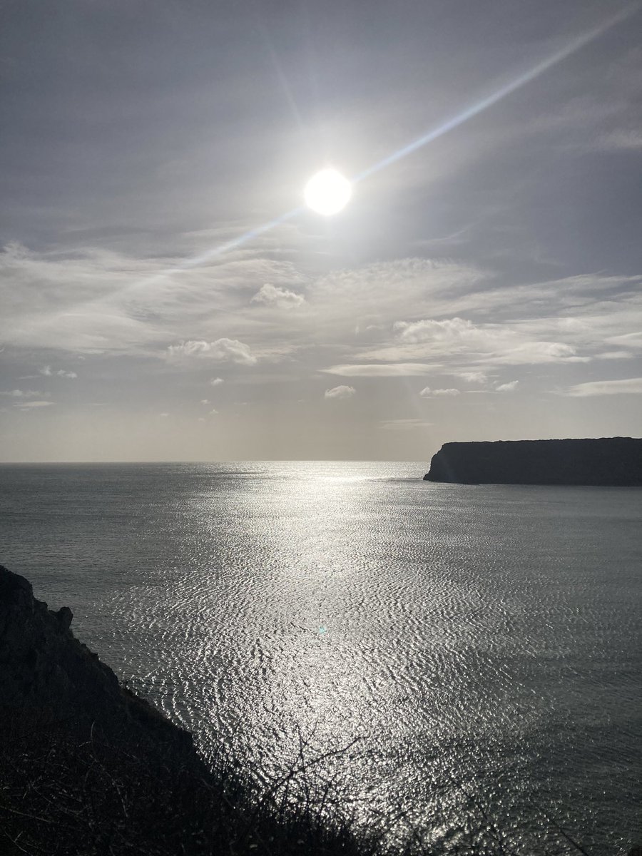 CarolEvs28's tweet photo. Fabulous walk today - plenty of fresh sea air - #Lydstep to #Tenby. #PembrokeshireCoastalPath https://t.co/runx8l8zCP