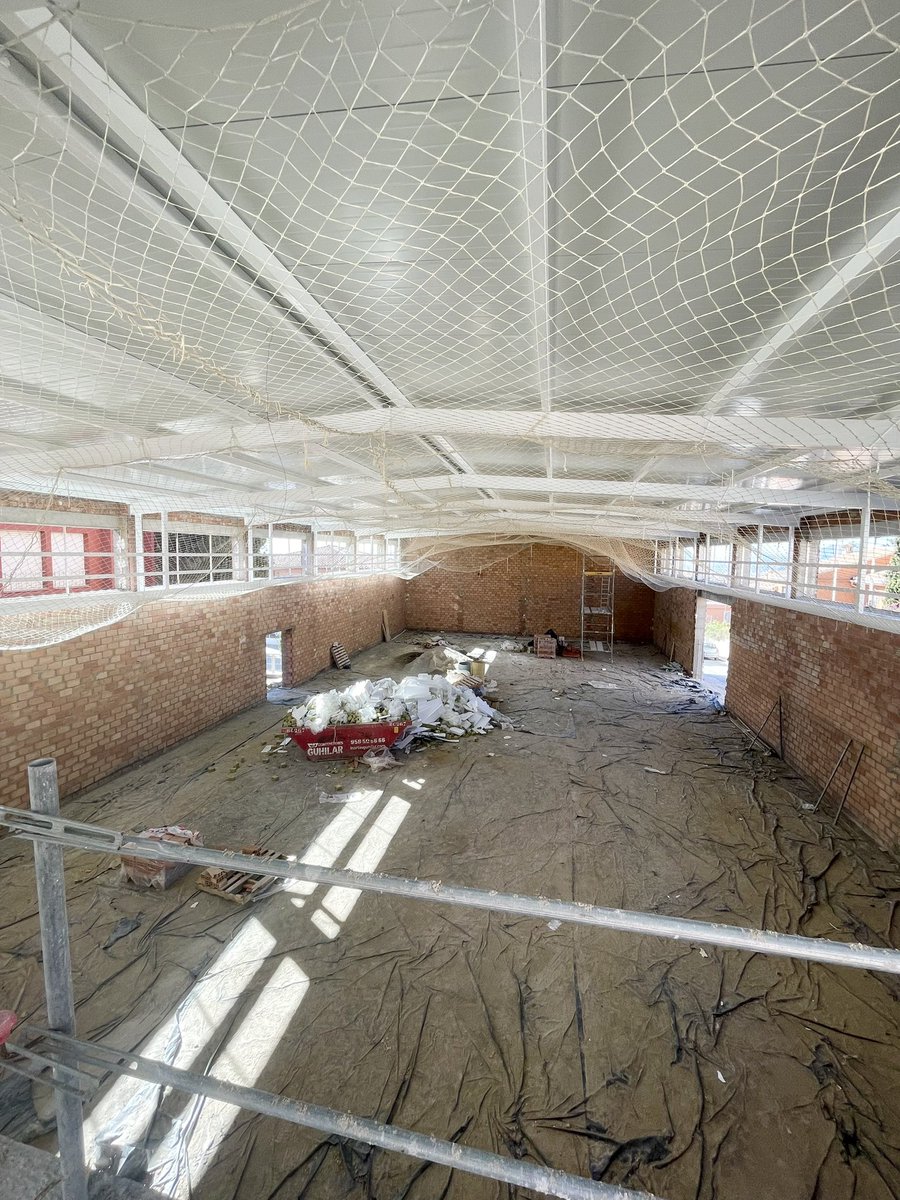 Aurora Suárez tweet media