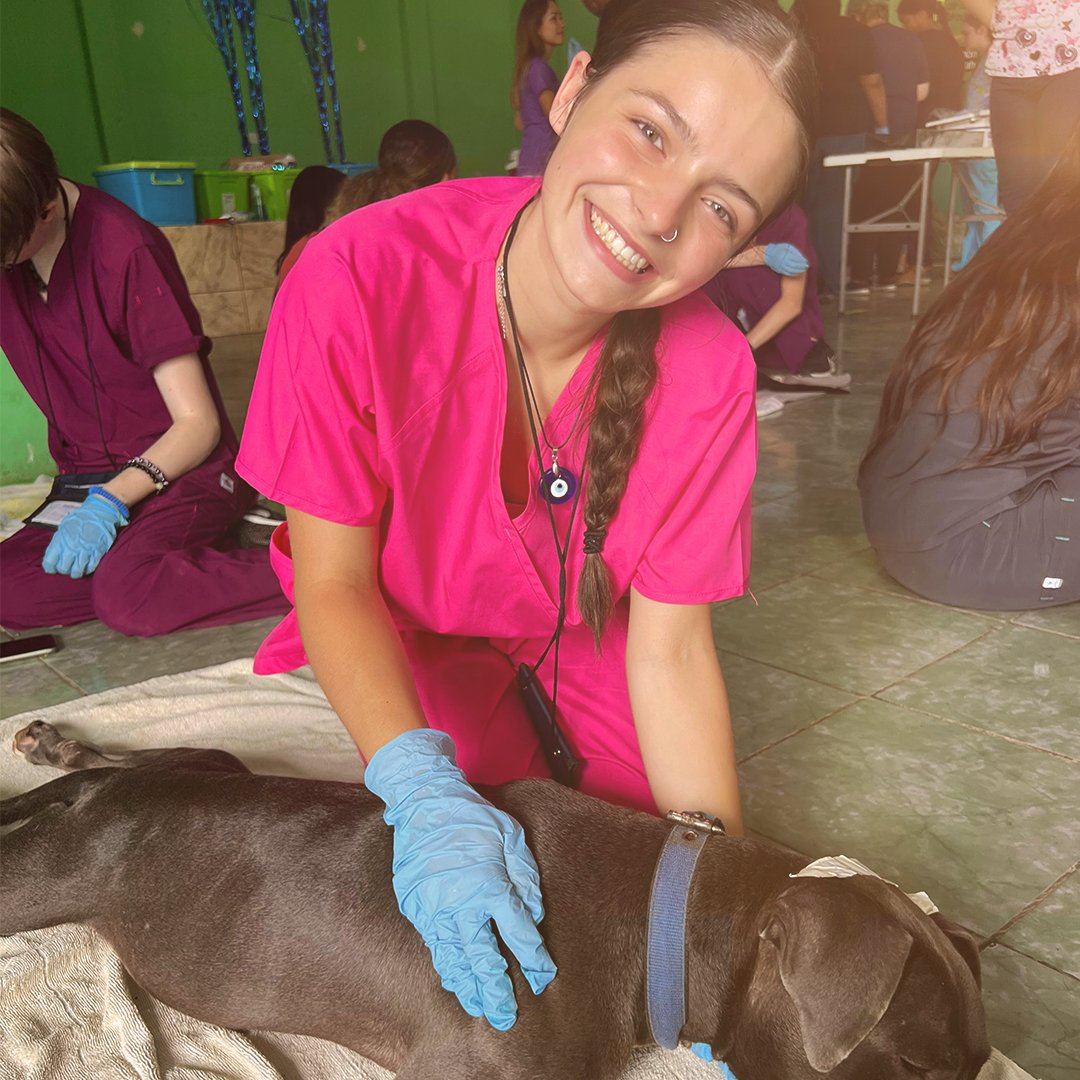 TNLAforstudents's tweet photo. 2022 Future Vets Alum (and 2021 Congress grad), Tegan, plans to attend Ohio State University for her undergraduate degree and apply to Ohio State's Vet School after that! She's interested in pursuing a career in small animal rehab after graduating vet school. 🥳 #FutureVets https://t.co/3mOt2bziRK