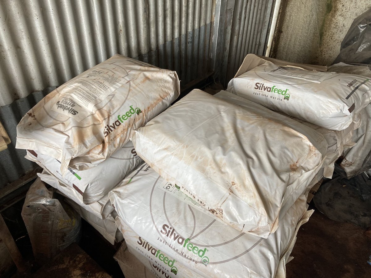 sns_uruguay's tweet photo. Más #UnikePlus para el control de #micotoxinas y #ByPro (blend de taninos) para la mayor producción de proteína láctea🥛
Vacas más sanas son vacas más rentables 🐮
@Adisseo #SilvaFeed #JustLikeNature #Nutriad #WeAddMore https://t.co/QOclZBeIFZ