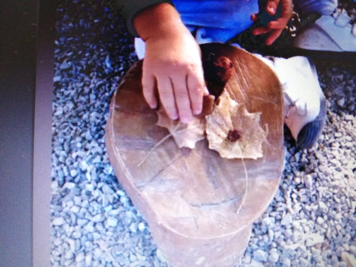 Espacios exteriores naturales, cálidos y en sintonía con la infancia en su etapa más sensorial. I Encuentro de Educación Infantil 0-3 con Trinidad Molina <a href="/ceplora/">CEP Lora del Río</a> <a href="/cepcastilleja/">CEP Castilleja</a> <a href="/ceplebrija/">CEP Lebrija</a> <a href="/ceposunaecija/">CEP Osuna-Écija</a> <a href="/cepse4/">CEP MAIRENA DEL ALCOR</a> <a href="/CEPSevilla/">CEP de Sevilla.</a> <a href="/CEPdeSevilla559/">Demelza</a> <a href="/Mjrivera_cepsev/">María Jesús Rivera Aguilar</a>