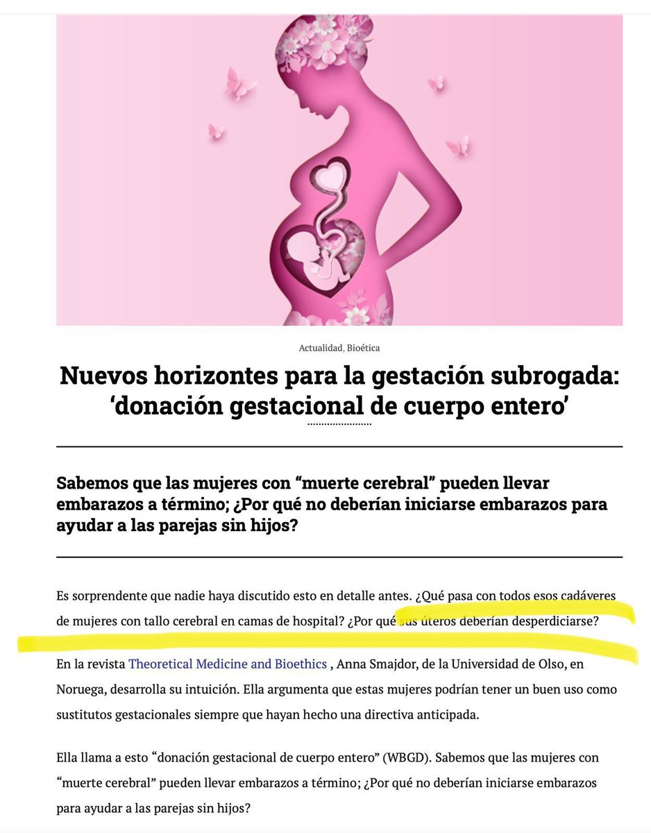 Meredith Gay 🛋️✨ tweet media