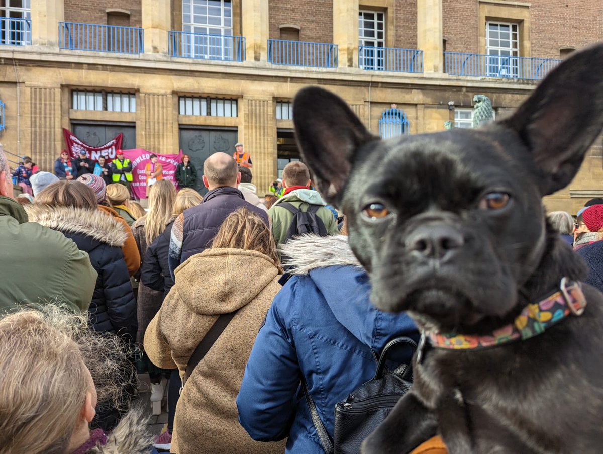 #dogsonpicketlines
Mango supporting striking teachers today in Norwich. She's very upset about what she heard today.