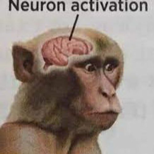 balaluga's tweet photo. @TheMacroShow https://t.co/xQaj8jzGxF