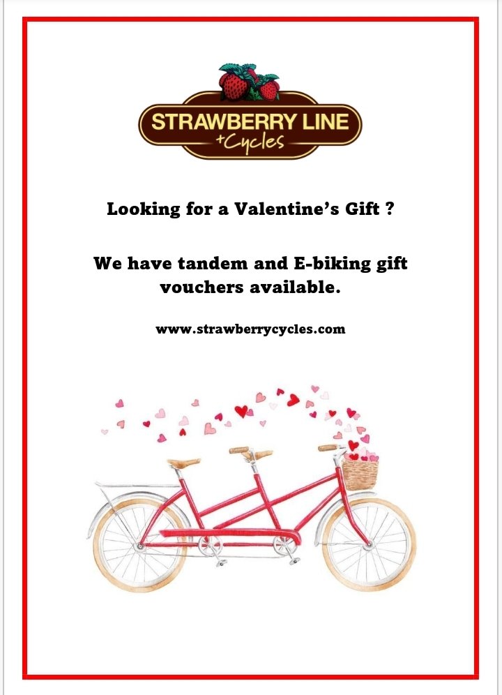 Available now.. strawberrycycles.com 
#ValentinesDay #ValentinesDay2023 #valentinesgift #shoplocal #supportindependent