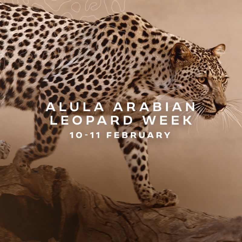 AlUlaMoments's tweet photo. Music, Art & Fashion pair with raising awareness for the critically endangered #ArabianLeopard at the #AlUla #ArabianLeopardWeek. Don’t miss out on the incredible pieces created for this truly one-of-a-kind event.
#AlUlaMoments