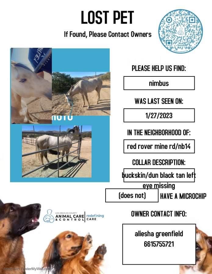 RubyStarrlight's tweet image. CHP in Antelope Valley allowed a person with a trailer confiscate this lost horse near Red Rover Mine and 14 fwy in Acton, Ca without following protocol. Horse remains lost/stolen. Please share! #losthorse #stolen #equine @chp_av @CHPsouthern @KTLAnewsdesk @FOXLA  @LACoAnimalCare