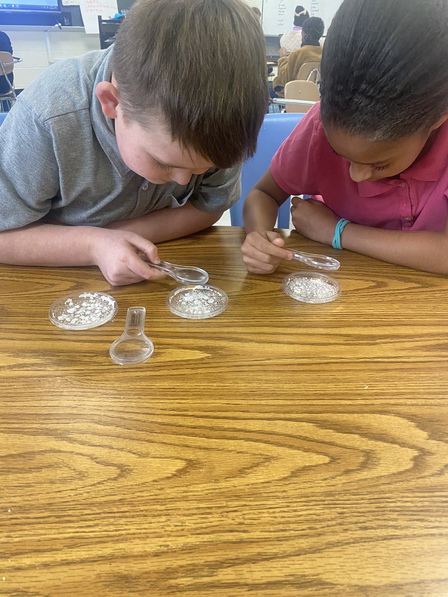 joholzman121's tweet image. Mrs. Holzman’s 5th graders examining sodium chloride crystals after an evaporation investigation. @AshleyGableEDU @jesse_hooks @cardwelldalisha @TCBOE_CMS @TCBOE #TweetoftheWeek #CMStheplacetobe