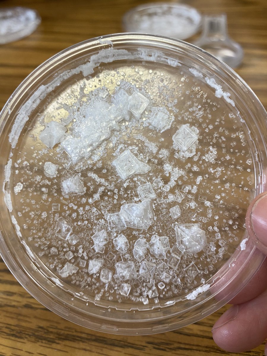 Jo Holzman (@joholzman121) on Twitter photo Mrs. Holzmanâs 5th graders examining sodium chloride crystals after an evaporation investigation. <a href="/AshleyGableEDU/">Ashley Gable, NBCT</a> <a href="/jesse_hooks/">Jesse Hooks</a> <a href="/cardwelldalisha/">Dalisha Cardwell</a> <a href="/TCBOE_CMS/">Childersburg Middle School</a> <a href="/TCBOE/">Talladega Co Schools</a> #TweetoftheWeek #CMStheplacetobe Mrs. Holzmanâs 5th graders examining sodium chloride crystals after an evaporation investigation. <a href="/AshleyGableEDU/">Ashley Gable, NBCT</a> <a href="/jesse_hooks/">Jesse Hooks</a> <a href="/cardwelldalisha/">Dalisha Cardwell</a> <a href="/TCBOE_CMS/">Childersburg Middle School</a> <a href="/TCBOE/">Talladega Co Schools</a> #TweetoftheWeek #CMStheplacetobe