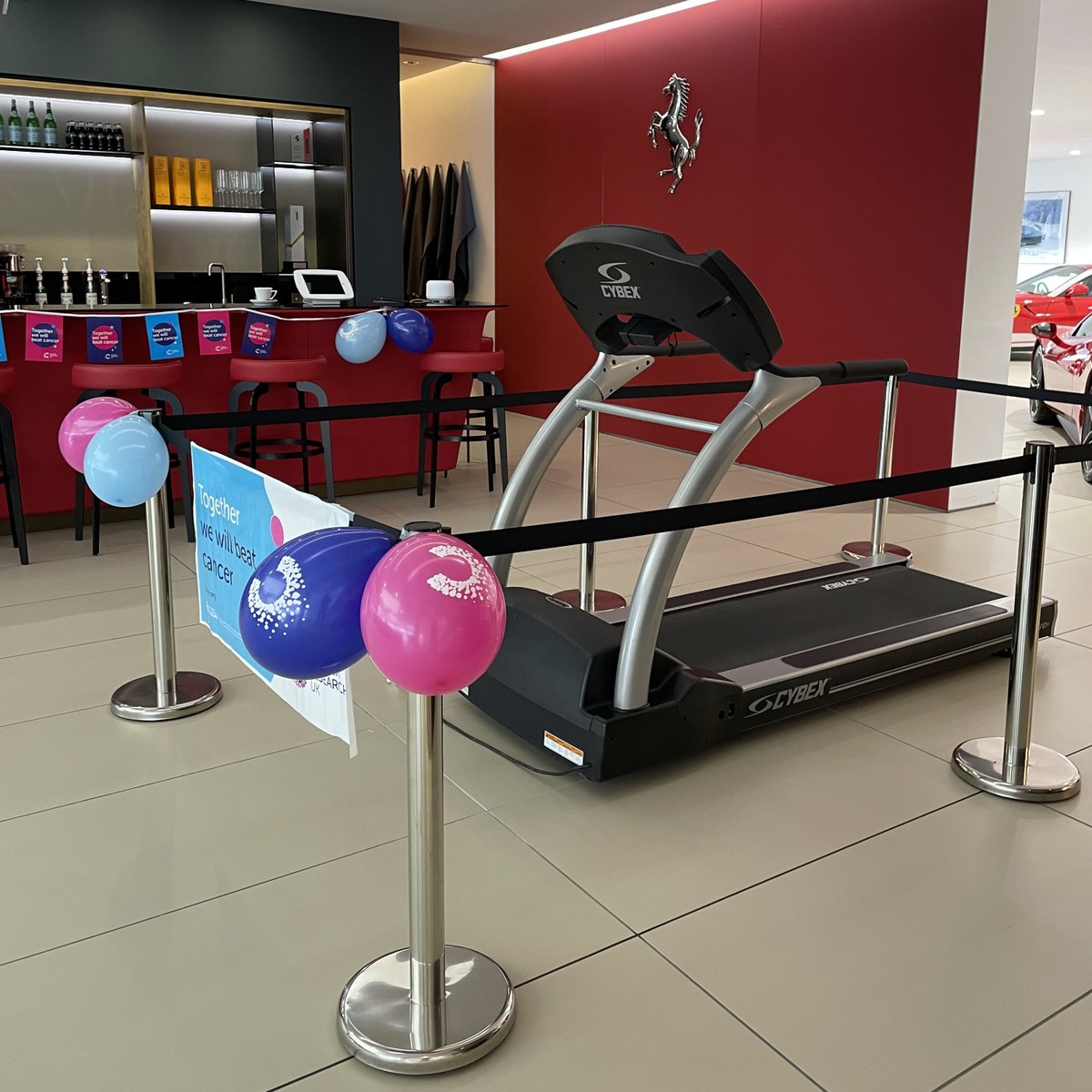 For the entire month of February, #GraypaulBirmingham are raising money for #CancerResearch by running 2 miles every day!

If you would like to donate, please visit the link in our bio!

#sytner #fundraising #ferraribirmingham #ferrariworld #ferrarienzo