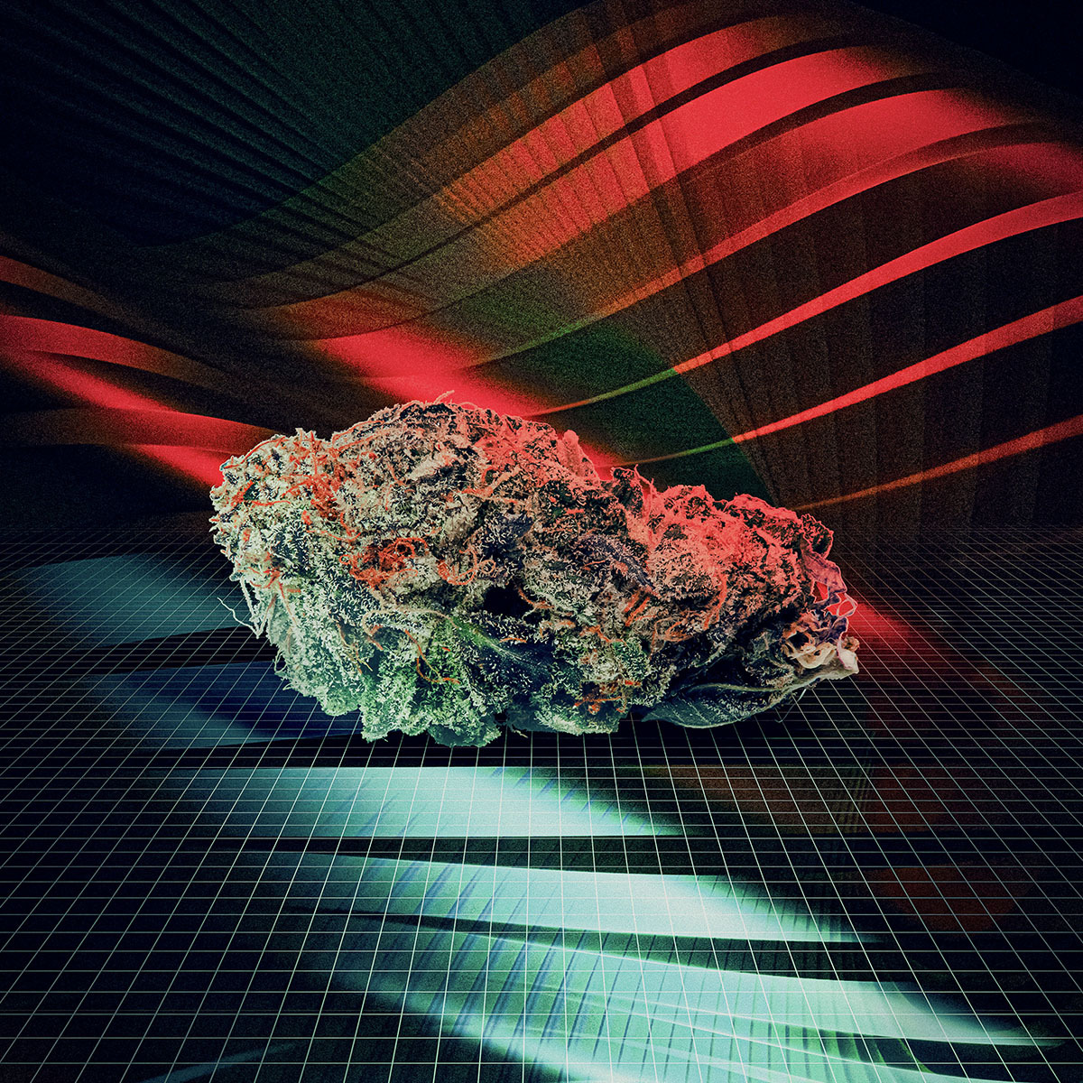 Kolab Project tweet media