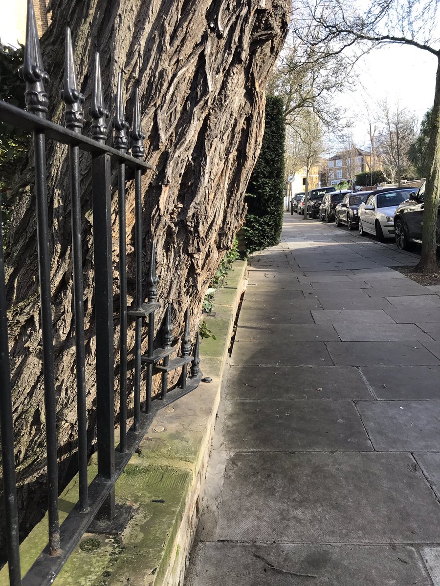 treeruss's tweet photo. Good practice is (sometimes) infectious. Here on a street in NW8 one house owner has adopted a tree sensitive, bespoke boundary fence and a neighbour has followed suit with a neat wall inset. Simple but very effective.
#TreeSpace #Space4Trees #TreeCentredDesign #UrbanTrees https://t.co/QjFCjWdW3z