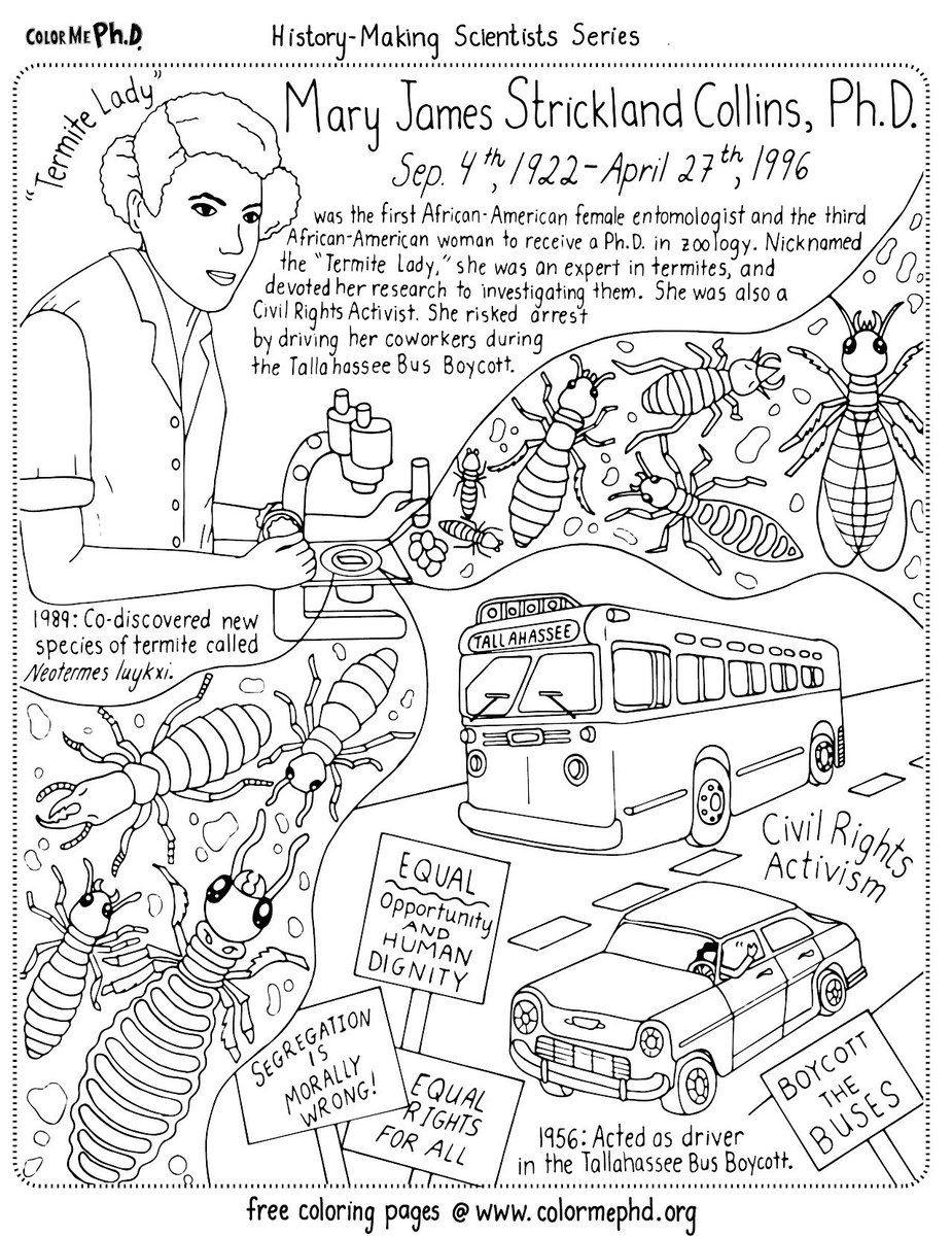 ColorMePhD tweet media