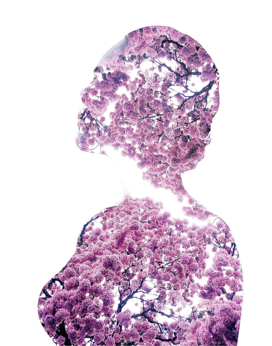 Mint Marketplace Daily Spotlight

Artwork: 08 - Fragile 3
Collection: Double Exposure Art 
By: @zkdigitalartist 

🔗mintmarketplace.io/collection/dou…