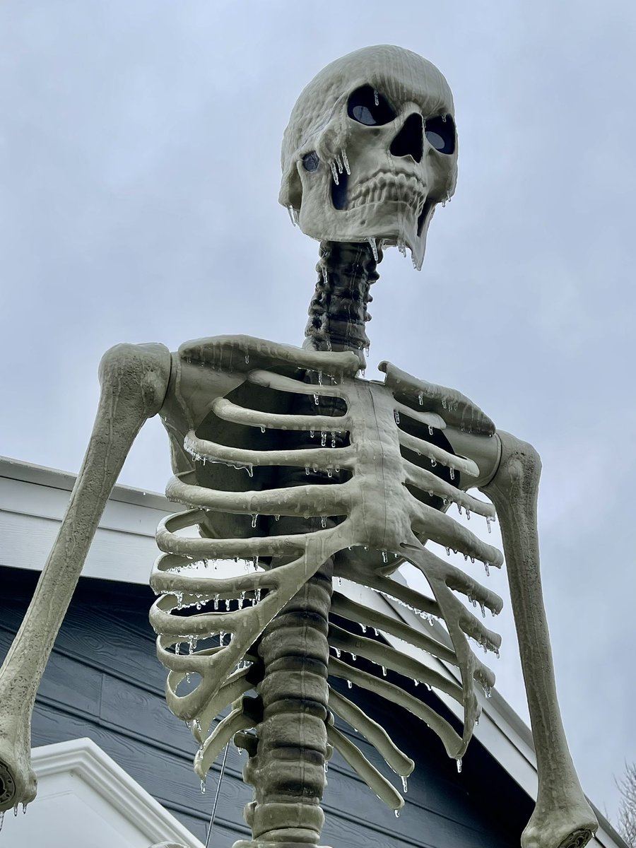 Just gonna hang out inside today. #notrealcold #texascold