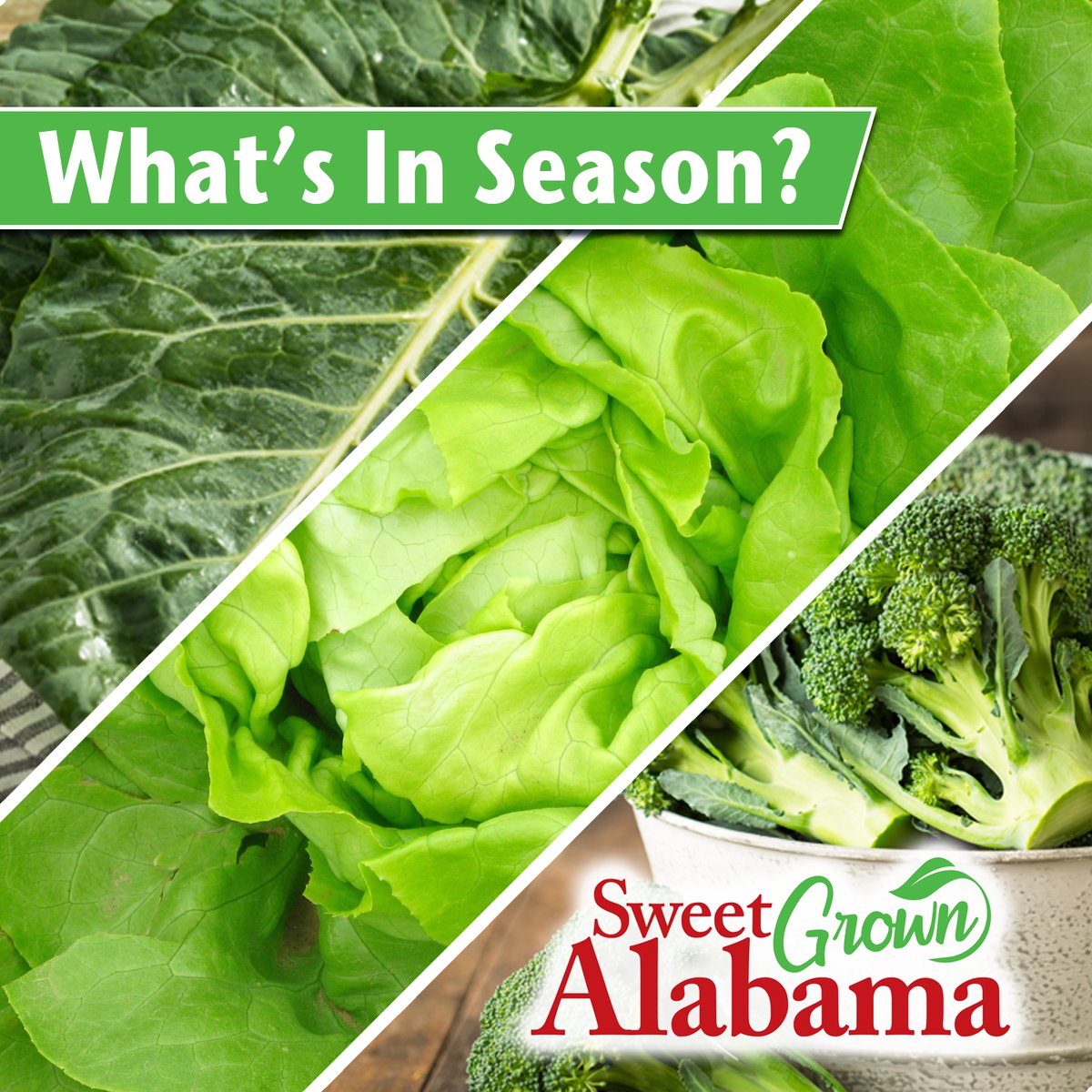 Sweet Grown Alabama tweet media