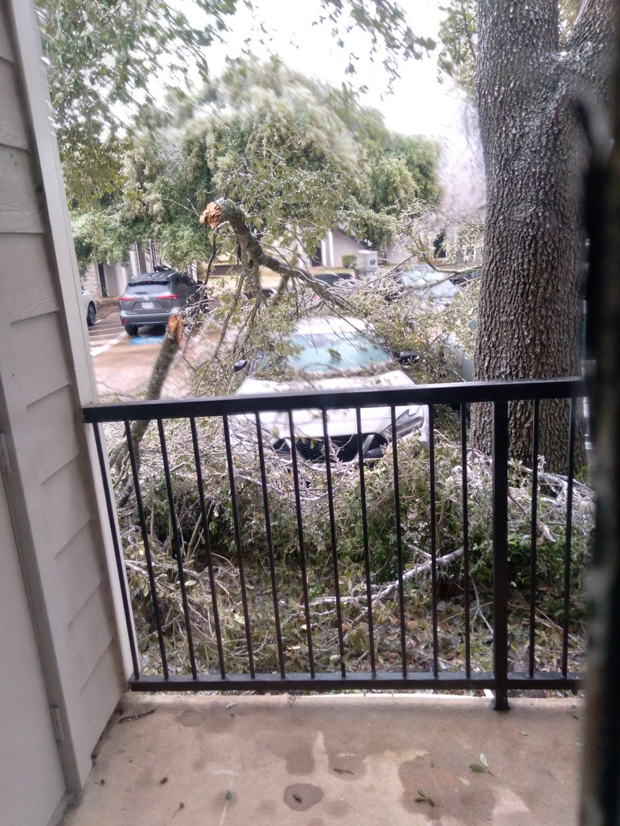 cdinprov's tweet photo. Well I think we are all staying inside today https://t.co/jrxPraNP3U