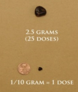 douglasforwi's tweet photo. @elonmusk @OwenGregorian @ScottAdamsSays @elonmusk @OwenGregorian @ScottAdamsSays   so that people understand what 2.5 grams looks like https://t.co/gGsOvHXIDg