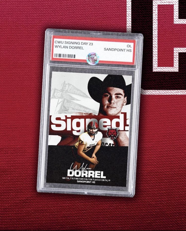 Wylan Dorrel tweet media