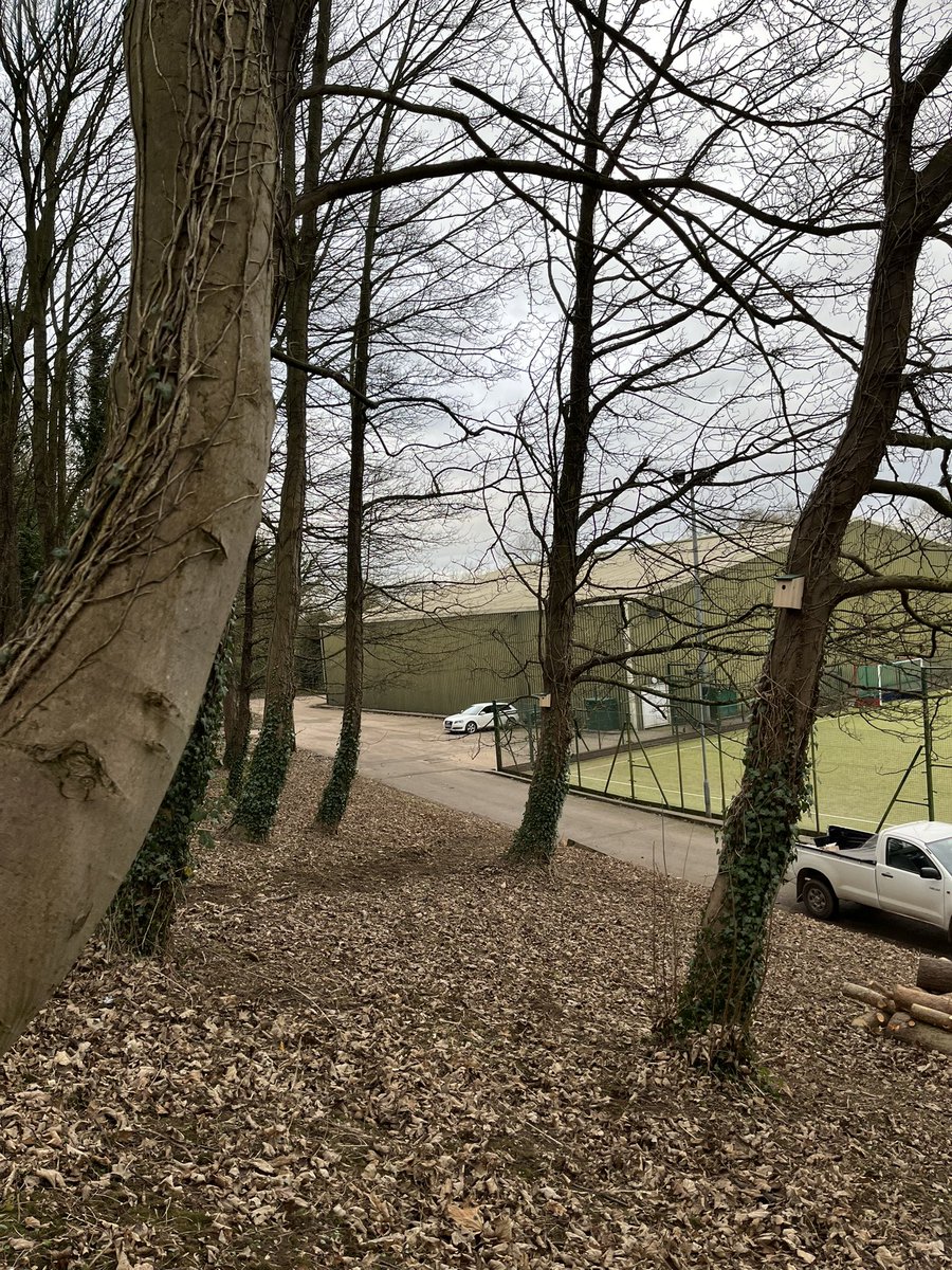 Many thanks to our Green Team from our community action project who spent today helping to lay the path through our woodland walk. It was excellent to see the final element of this project coming together. The grounds team have also put up bat 🦇 boxes to attract wildlife. Fab!