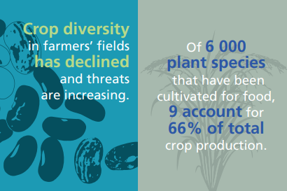 FAO Climate Change & Biodiversity tweet media