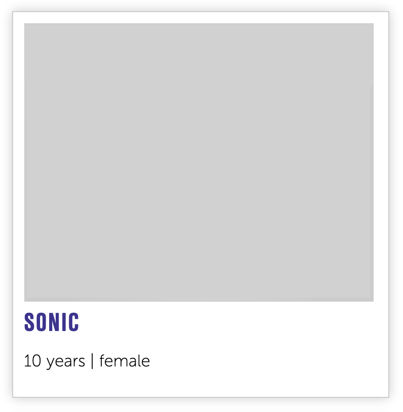 Nebraska Humane Society tweet media