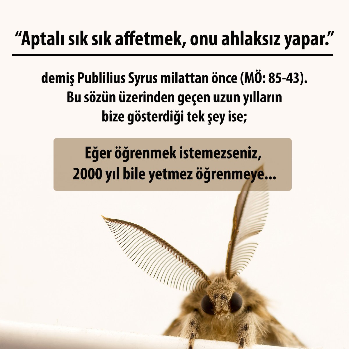 skaraismailoglu's tweet photo. Sevdiğiniz aptalları affetmekten vazgeçin artık. 
Çok ciddiyim. https://t.co/kmMawhX5Lk