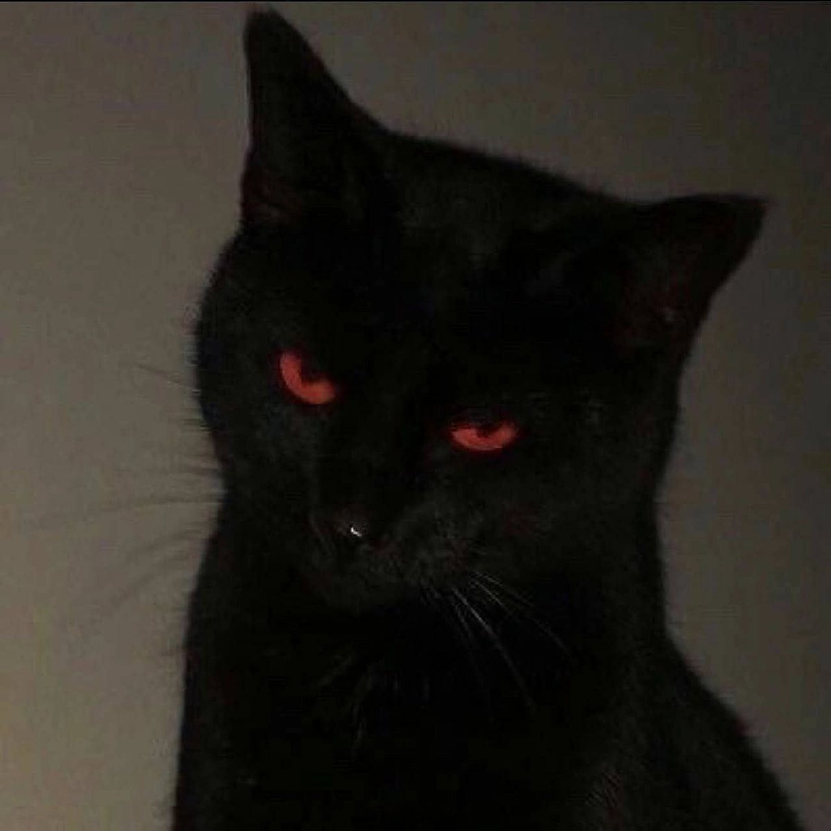 acid666host's tweet photo. https://t.co/Gj3bE1Je05
