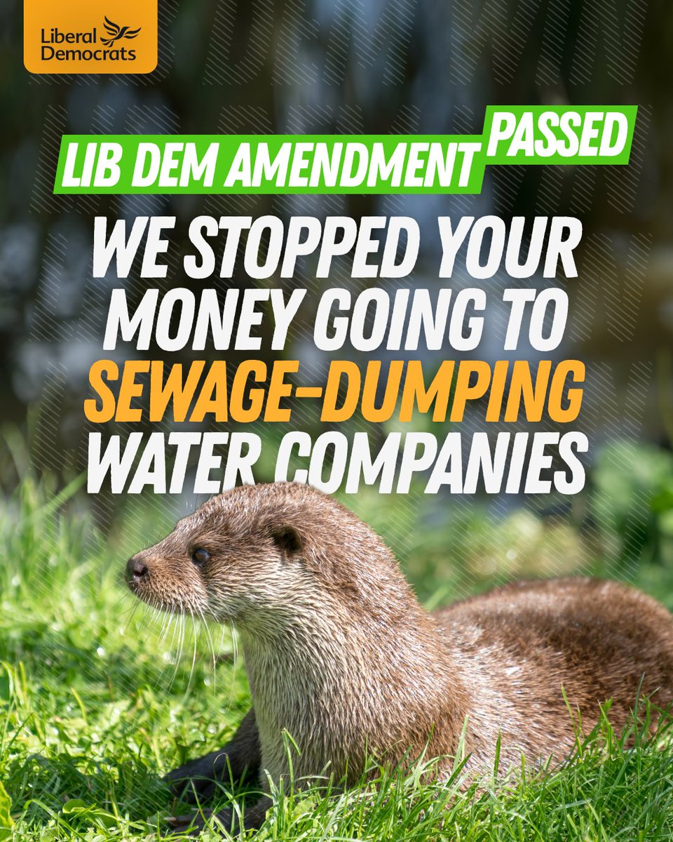 LibDems's tweet photo. Our amendment means water companies won't get a blank cheque from taxpayers’ while they continue to pollute our rivers and coasts and hurt our wildlife.  

Big congratulations to @RichardFoordLD on this important victory. 🦦⬇️ https://t.co/cHibxZn7U7