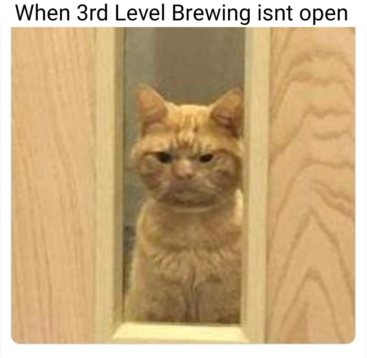 3rdlevelbrew's tweet image. Unfortunately we won't be open today. Because of the weather of course. 
Hope everyone out there is staying safe and warm. 

#craftbeer #rtx #txcraftbeer
#seriouslygoodbeer
#justthebeerginning

#nerdoutwithwhatalesya