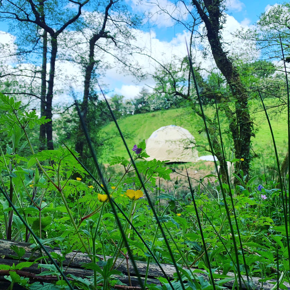Frowenfields's tweet photo. Have you booked your 2023 holiday yet?
Look no further than @Frowenfields for a #break in #nature https://t.co/zR0EBS9BpE https://t.co/kXe1wiZjpo