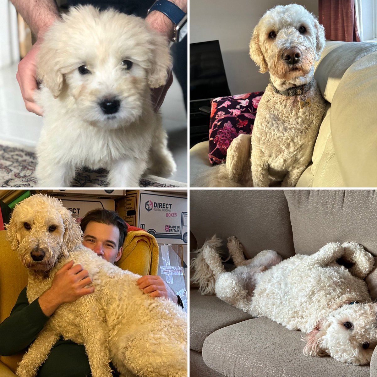 @andyheeps.bsky.social tweet media