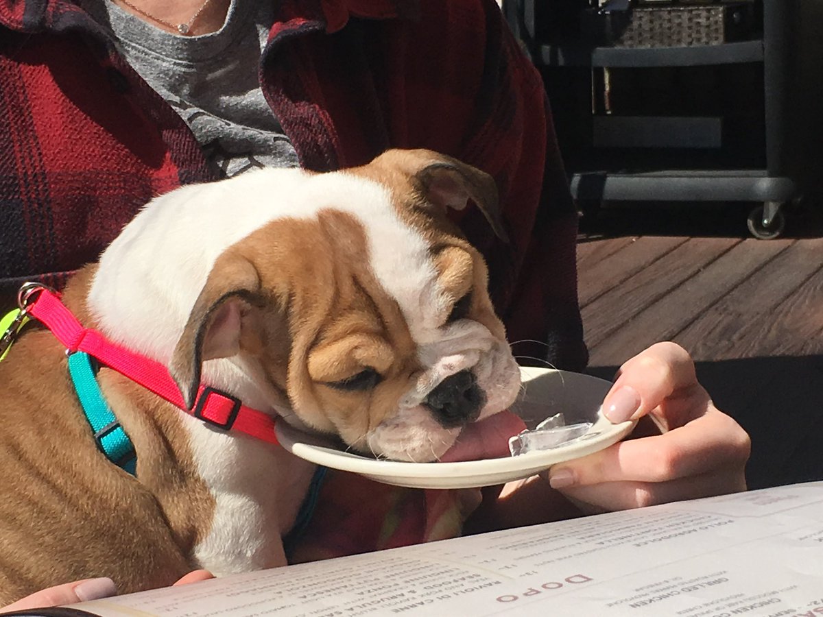 Dave Madeira tweet media