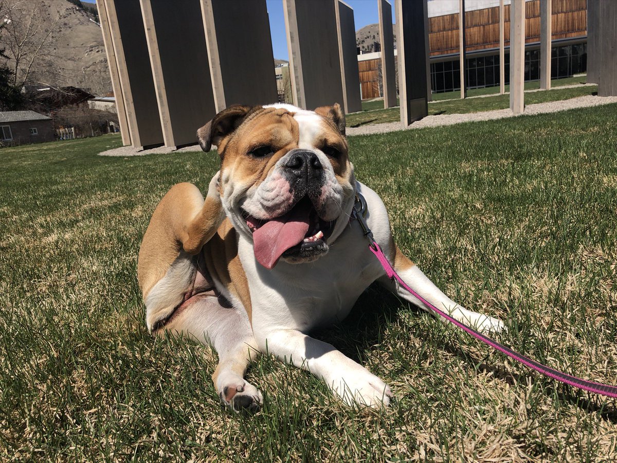 Dave Madeira tweet media