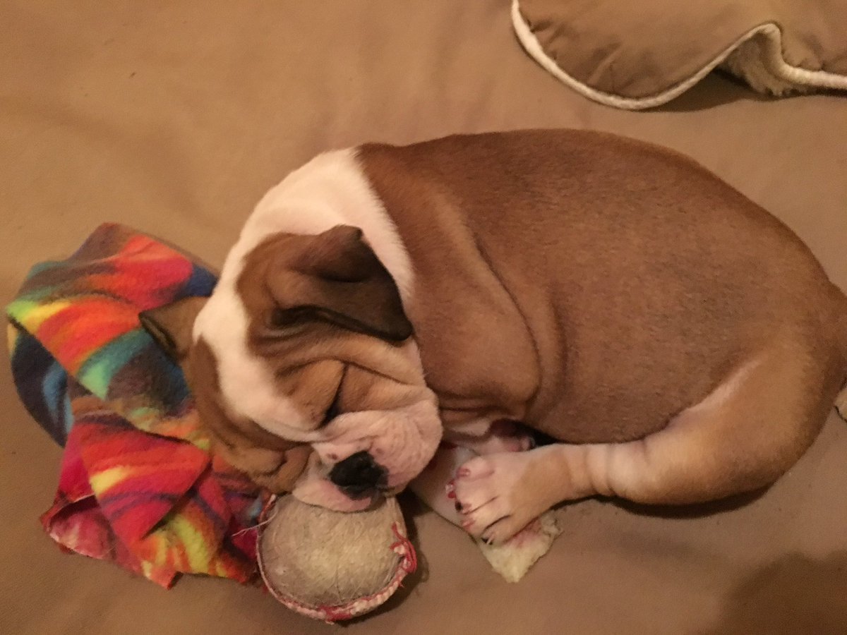 Dave Madeira tweet media