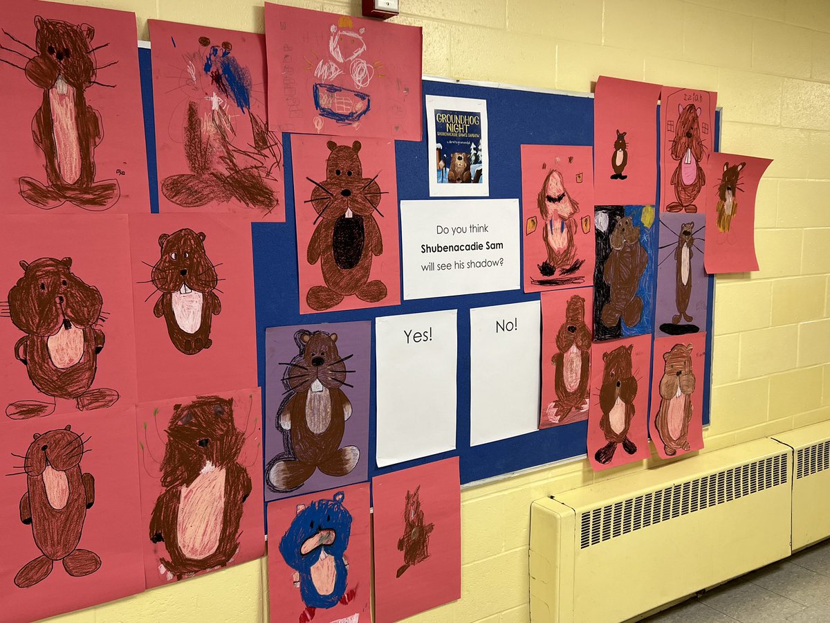 Lawrencetown School tweet media