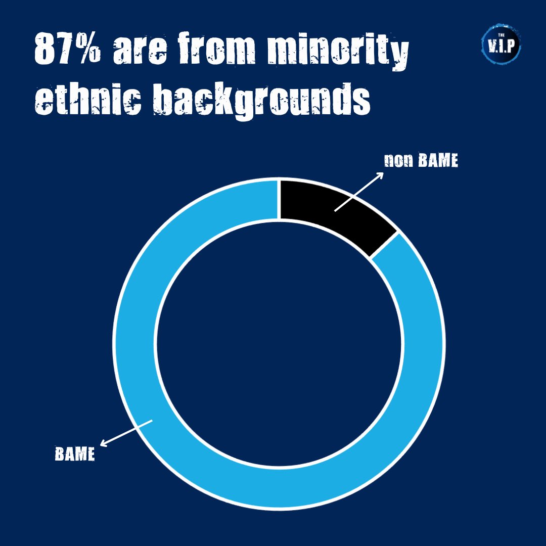 The VIP - Violence Intervention Project tweet media