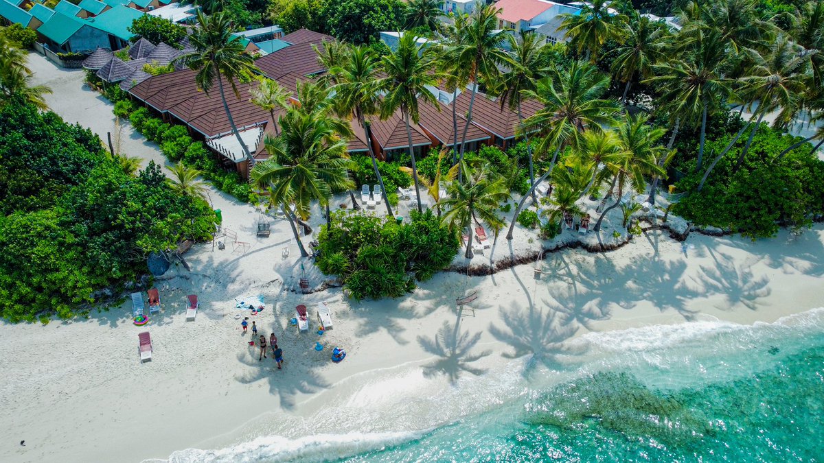 sabbatravels's tweet photo. What is your definition of ultimate freedom?
Discover the free-spirited experiences at The #sabbabeachvillasandspa #sabbasummersuite #sabbabeachsuite
.
.
#mamdives #fodhdhoo #islandlife #beachlife #happyplace #bestvacations #travelling #travelgram #tours #homesweethome https://t.co/nAIAA489lU